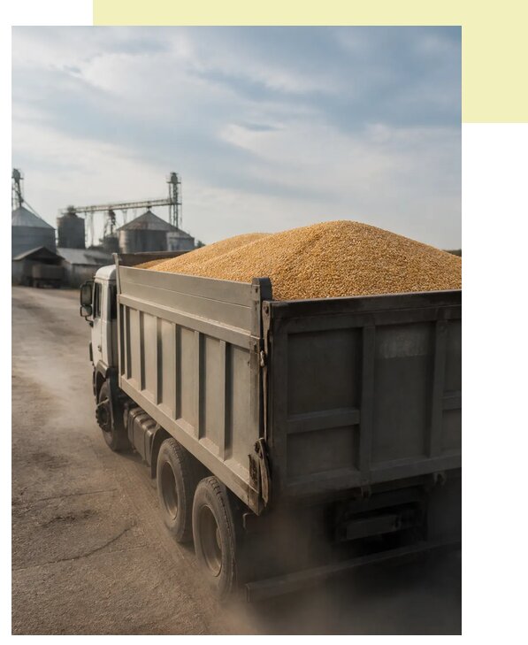 Перевозка сельхозпродукции навалом в Азов по цене от 3081 р. | Агросервис-Азв