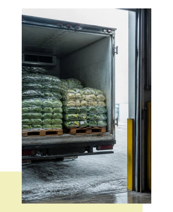 Перевозка замороженных овощей в Азов автотранспортом